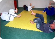 RocknRoll Brazilian Jiu Jitsu Private Lessons and Personal Training in Orange County, California